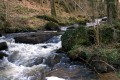 La Cazine dans les combes