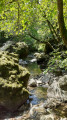 Les Gorges du Pas de Cère