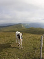 La chaîne du Haut-Jura