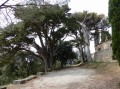 Montolieu et la chapelle Saint-Roch