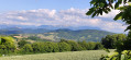 La Chartreuse
