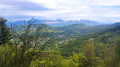 la Chartreuse