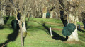 La châtaigneraie