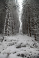 La Chaume des Veaux depuis le Col du Kreuzweg
