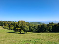 La ferme-auberge du Kohlschlag et le Molkenrain depuis le Col du Firstacker