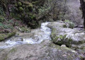 La Cimante
