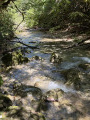 Balade en sous-bois jurassien
