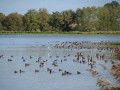 De la Maison de la rivière à la Cité des oiseaux