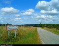 La clairière de Bresolettes La clairière de Bresolettes
