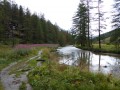 La Clarée