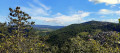 Le sentier des buis