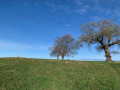 La colline de Berrogain