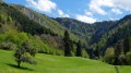 La Combe au Château