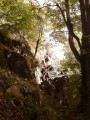 La combe de l'Ammelthal La combe de l'Ammelthal