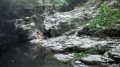 La combe du Mezerin