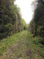 La Combe