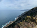 La côte de Flysch