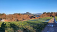 La côte du Mont vue depuis Cherval sur les hauteurs de La Petite Raon