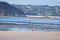 La pointe de Saint-Jacut-de-la-Mer par le sentier cotier