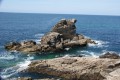 La côte sauvage
