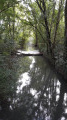 la Courance