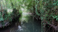 La Courance