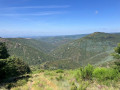 "La crête du sanglier"