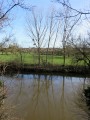 La Creuse entre Chitray et Rivarennes