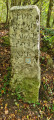 Forêt de Chavigny