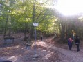 Balade en forêt au Col de la Luère