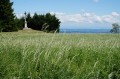 La croix de Pilherbe