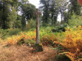 Circuit de la Croix des Danses à Saint-Bresson