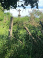 La croix du Pin
