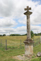 Bois Bernard depuis Pons