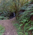 La dernière cascade avant de remonter vers le village