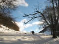 La dernière estive avant la cabane et le col