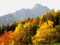 La descente avec vue sur les Dolomites (en automne)