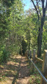 La descente et la mont&eacute;e pr&egrave;s de la for&ecirc;t (point 2)