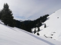 la descente le long du ruisseau