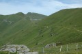 Le col de chêvre