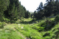 la descente vers Bordes d'Envalira