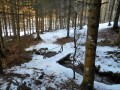 La descente vers le lac La descente vers le lac