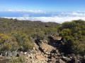 La descente
