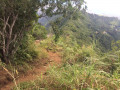 La descente