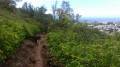 La descente
