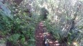La descente
