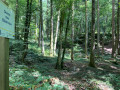 La doline des Blaireaux