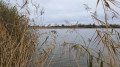 la Dombes l'hiver