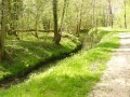 Entre la Guéville et la Drouette