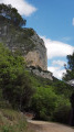 La falaise de l'Hortus
